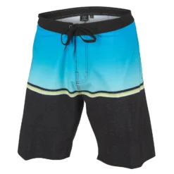 Burnside Men's Fade Boardshorts